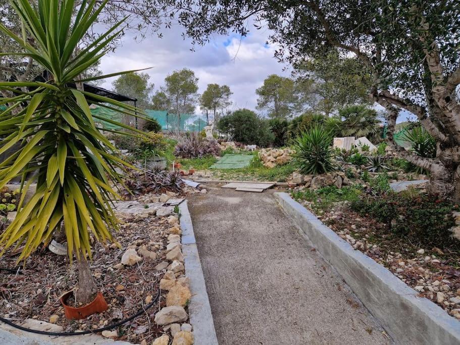 Le Petit Paradis Olivella Bagian luar foto
