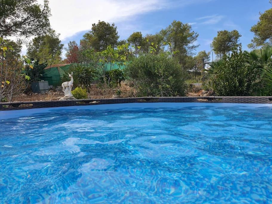 Le Petit Paradis Olivella Bagian luar foto