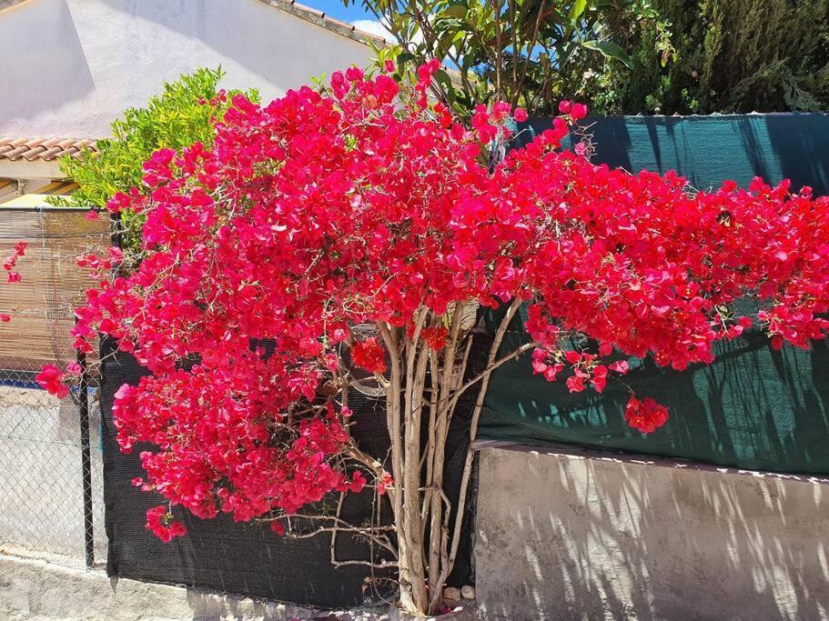 Le Petit Paradis Olivella Bagian luar foto